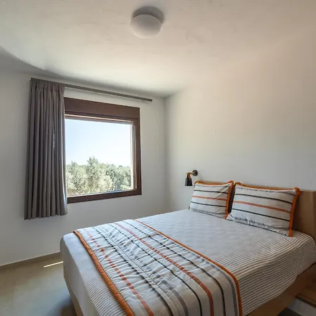 Elaionas Apartament Skala Potamia